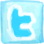 Twitter Icon